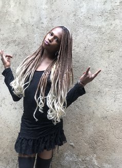 Cate - Transsexual escort in Nairobi Photo 5 of 6