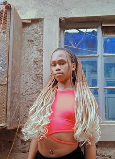 Cate - Transsexual escort in Nairobi Photo 1 of 7