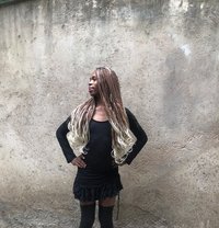 Cate - Transsexual escort in Nairobi