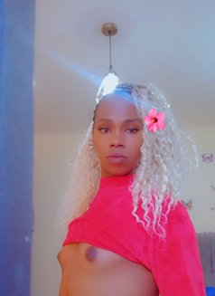 Cate - Transsexual escort in Nairobi Photo 1 of 5