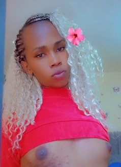 Cate - Transsexual escort in Nairobi Photo 2 of 5