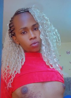 Cate - Transsexual escort in Nairobi Photo 3 of 5