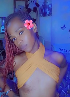 Cate🫴🦋 - Transsexual escort in Nairobi Photo 2 of 8