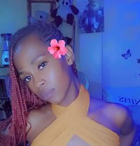 Cate🫴🦋 - Transsexual escort in Nairobi