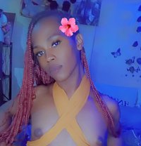 Cate🫴🦋 - Transsexual escort in Nairobi