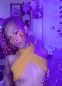 Cate🫴🦋 - Transsexual escort in Nairobi Photo 4 of 8