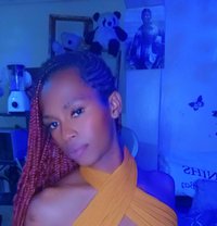 Cate - Transsexual escort in Nairobi