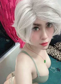Catelina Beautiful Shemale - Transsexual escort in Kuala Lumpur Photo 9 of 11