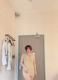 Catelina Beautiful Shemale - Transsexual escort in Singapore Photo 1 of 5