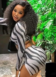 Caterina - escort in Beirut Photo 1 of 2