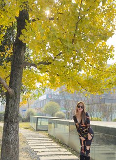 ️Cathy - escort in Seoul Photo 10 of 10