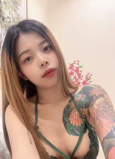 Catty New Young Girl From Thailand 🇹🇭 - puta in Riyadh Photo 4 of 8