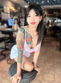 Catty New Young Girl From Thailand 🇹🇭 - escort in Riyadh Photo 5 of 10