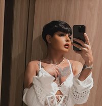 Cattyعرب - Transsexual escort in Dubai