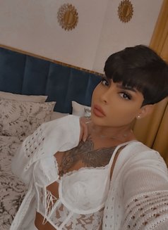 Cattyعرب - Transsexual escort in Dubai Photo 12 of 12