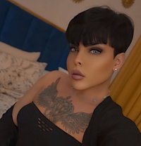 Cattyعرب - Acompañantes transexual in Dubai