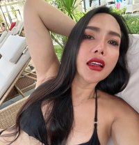 Catty - Acompañantes transexual in Bangkok