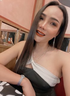 Catty - Transsexual escort in Bangkok Photo 14 of 14