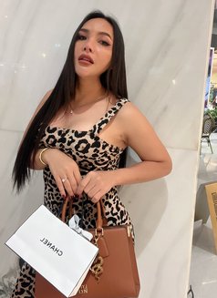 Catty - Transsexual escort in Bangkok Photo 12 of 20