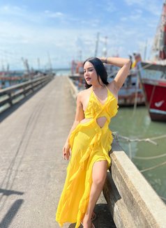 Catty - Transsexual escort in Bangkok Photo 17 of 20