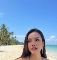 Catty bigcock top - Transsexual escort in Bangkok Photo 21 of 24