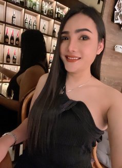 Catty bigcock top - Transsexual escort in Bangkok Photo 23 of 24