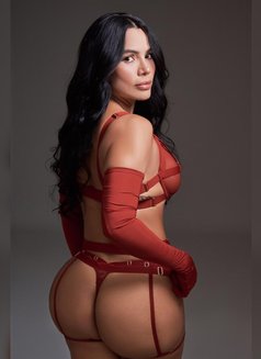 Caty latin first time in UAE 1500** aed - escort in Dubai Photo 1 of 11