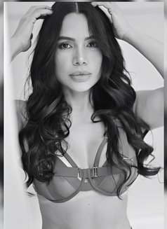 Caty latin first time in UAE 1500** aed - escort in Dubai Photo 5 of 11