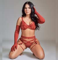 Caty latin first time in UAE - escort in Dubai