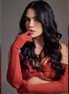 Caty latin first time in UAE - escort in Dubai Photo 18 of 20