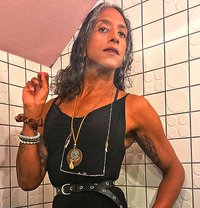 Caymandrogyne - Acompañantes transexual in Riga