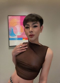 CC Femboy bottom New here - Transsexual escort in Jeddah Photo 7 of 10