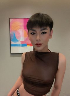 CC Femboy bottom New here - Transsexual escort in Jeddah Photo 8 of 10