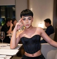 CC Femboy bottom New here - Acompañantes transexual in Riyadh