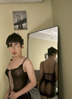 CC Femboy bottom New in Riyadh - Transsexual escort in Riyadh Photo 3 of 7