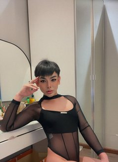 CC Femboy bottom New in Riyadh - Transsexual escort in Riyadh Photo 12 of 13