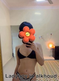 CC Femboy bottom VVIP Alkhoud 6 - Acompañantes transexual in Muscat Photo 13 of 13