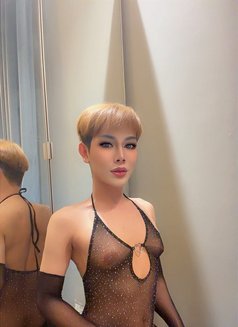 Cc feminine boy - Acompañantes transexual in Riyadh Photo 4 of 5