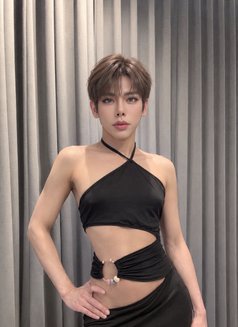 Cc feminine boy - Acompañantes transexual in Riyadh Photo 8 of 8