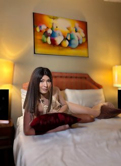 Cd Alexa - Transsexual escort in Pyeongtaek Photo 3 of 11