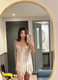 Queen CD lexie - Transsexual escort in Singapore Photo 12 of 12