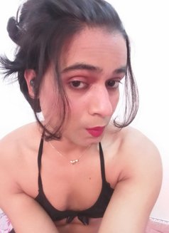 Cd. Amisha - Acompañantes transexual in Kolkata Photo 1 of 1