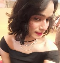 Cd. Amisha - Acompañantes transexual in Kolkata