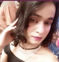 Cd. Amisha - Acompañantes transexual in Kolkata
