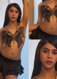 CD IVY🇵🇭hard dick & tight ass(Poppers) - Transsexual escort in Hong Kong Photo 29 of 30