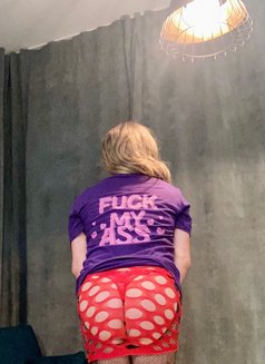 Cd Katya - Transsexual escort in Brussels Photo 16 of 16