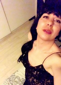 Cd Sexy Mistress Xl - Acompañantes transexual in Amsterdam Photo 1 of 12