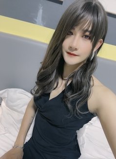 伪娘18 Cm - Transsexual escort in Shenzhen Photo 2 of 5
