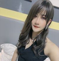 伪娘18 Cm - Transsexual escort in Shenzhen