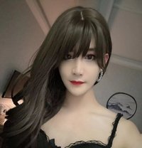 Cd18 Cm - Acompañantes transexual in Singapore